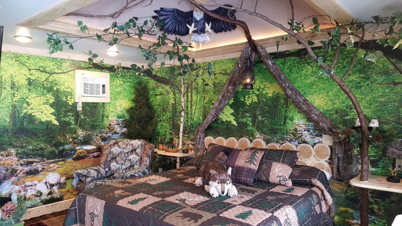 سانت إيغناس Bear Cove Inn المظهر الخارجي الصورة